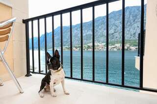 Апартаменты Apartments Rozer Котор Номер-студио-16